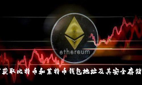 如何获取比特币和莱特币钱包地址及其安全存储方法